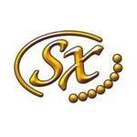 SX GUITARS
