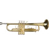 Cascha Trumpet Fox