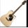 Takamine GD51CE Natural