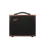 HENRY'S Walker ACA-25W